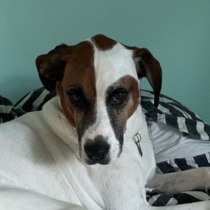 Meet your Posher, Sabine